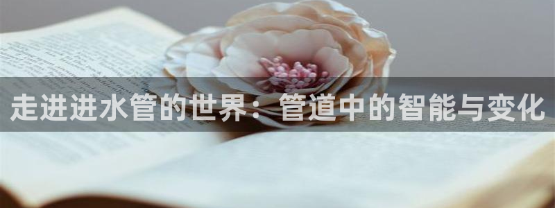 天辰娱乐链接
