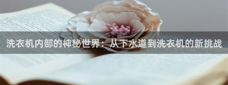 辰天娱乐