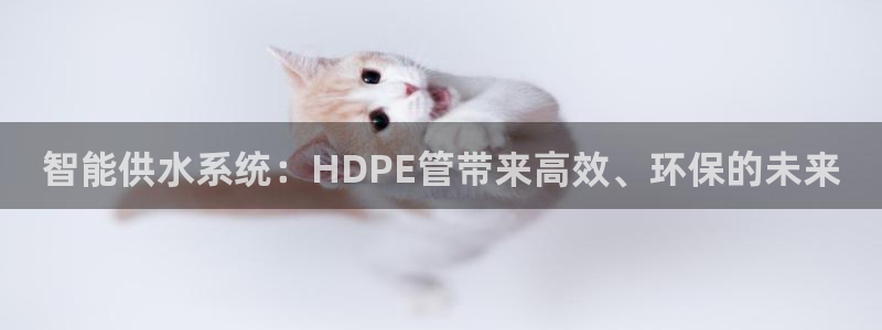 娱乐ktv天辰