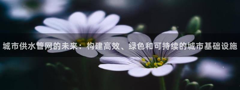 天辰娱乐天辰宝