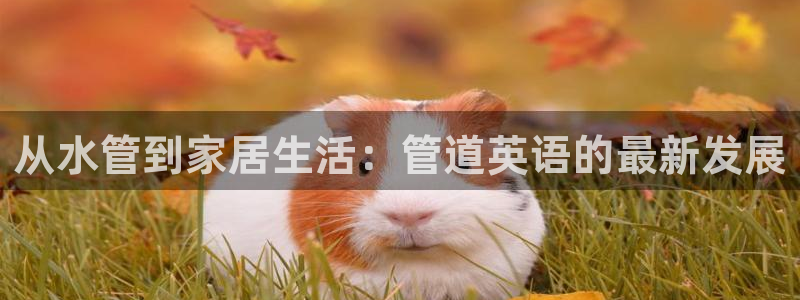 手机上怎么下载天辰娱乐