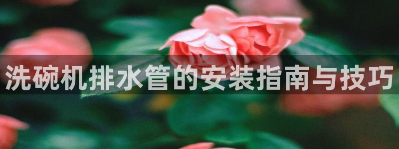 天辰娱乐入口