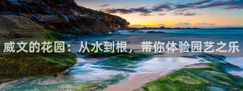 集宁天辰娱乐