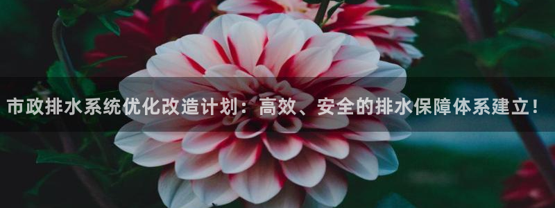 天辰娱乐总管年薪