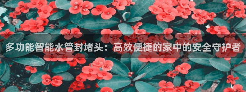 天辰娱乐1956