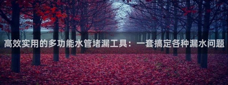 天辰娱乐开户