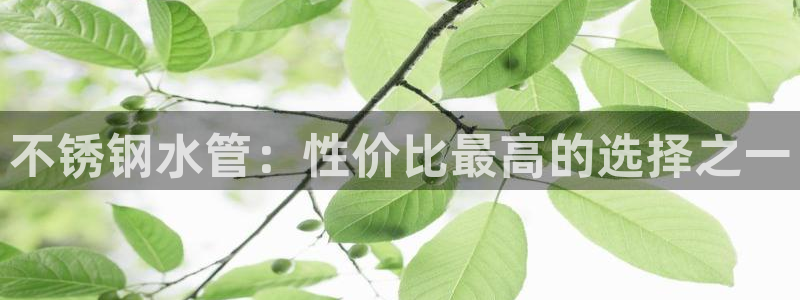 天辰娱乐直属