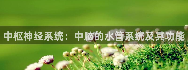 天辰娱乐 qq