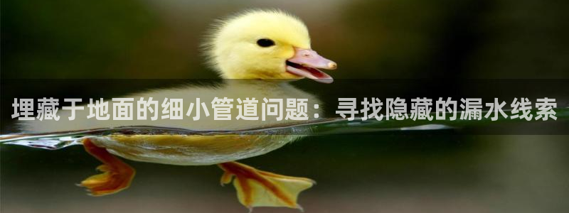 天辰娱乐指定