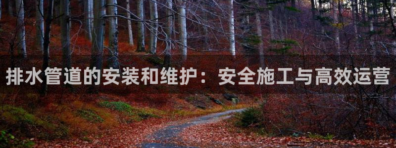 南充天辰娱乐