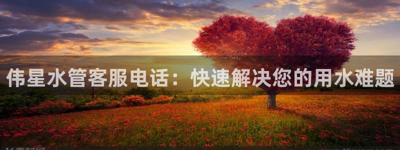天辰娱乐路线