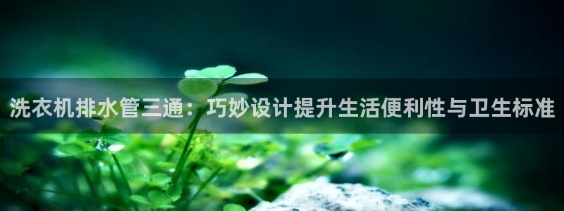 天辰宝娱乐