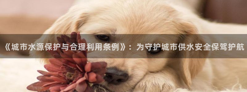 天辰娱乐娱乐平台