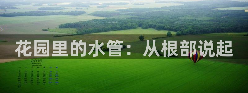 天辰娱乐557696