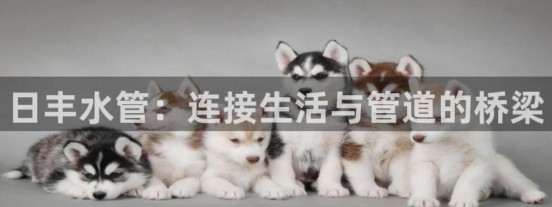 天辰娱乐平台靠谱么