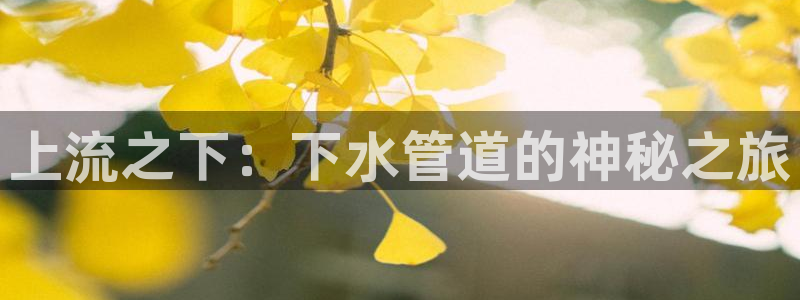 天辰线上娱乐
