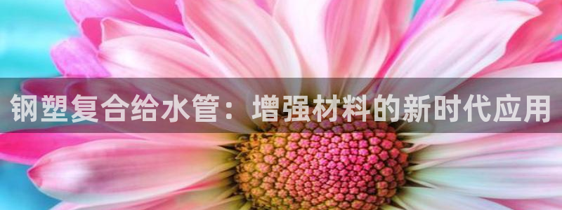 天辰娱乐 39974