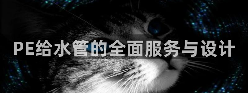 天富娱乐天辰娱乐