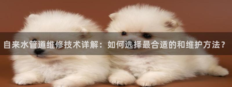 天辰娱乐待遇