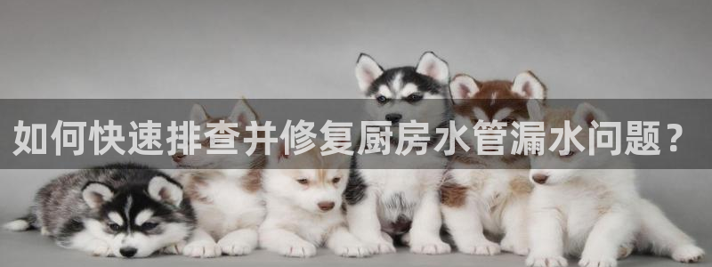 天辰娱乐平台靠谱么