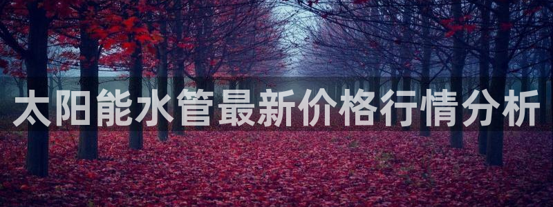 天辰娱乐公司