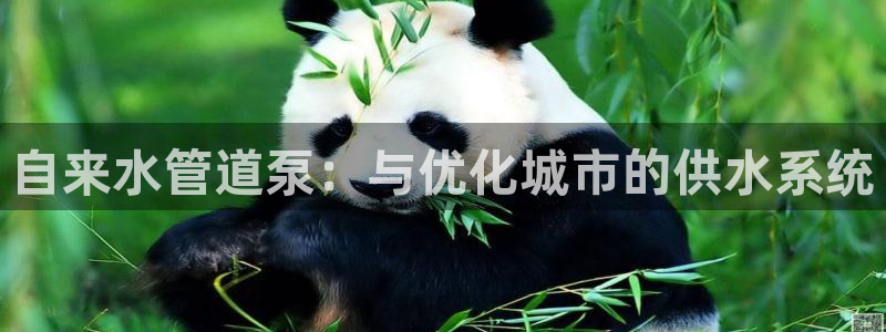 天辰娱乐简介