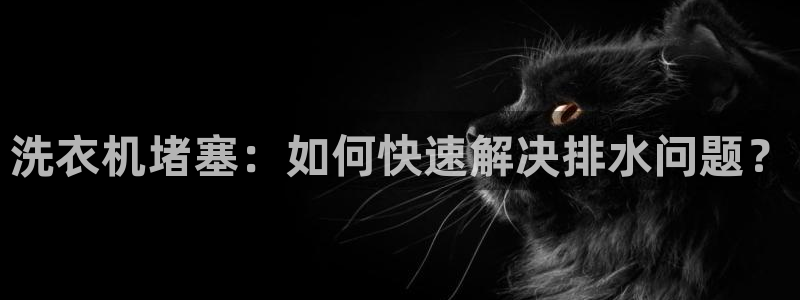 天辰臣娱乐