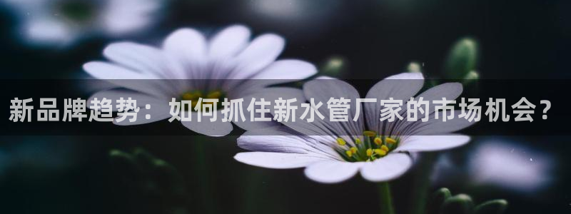 天辰娱乐_675138