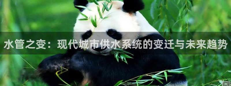 天辰娱乐反水