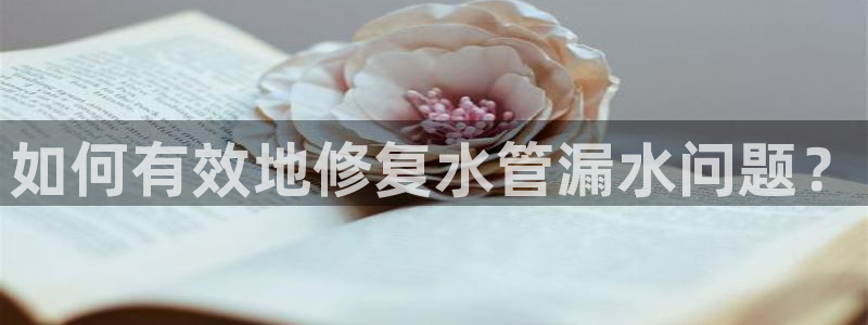 天辰娱乐信誉