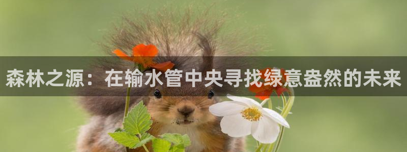 天辰娱乐厕所
