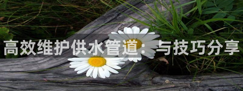 天辰娱乐鱼刺