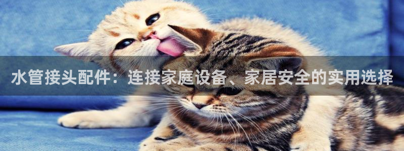 常州天辰娱乐