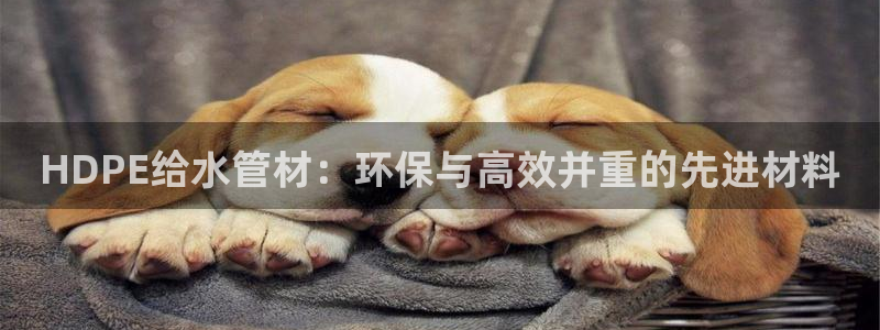 天辰娱乐1980