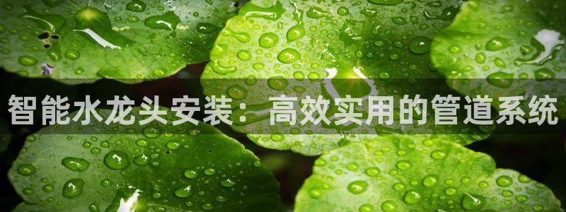 天辰娱乐所
