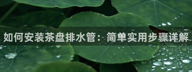 天辰娱乐675138