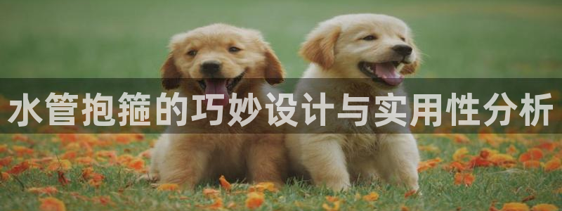 天辰平台娱乐