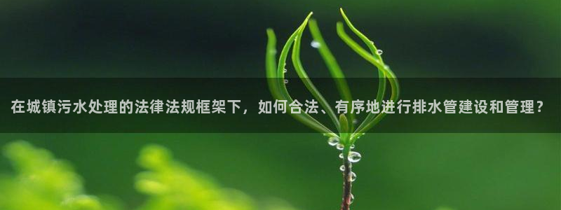 天辰娱乐44516