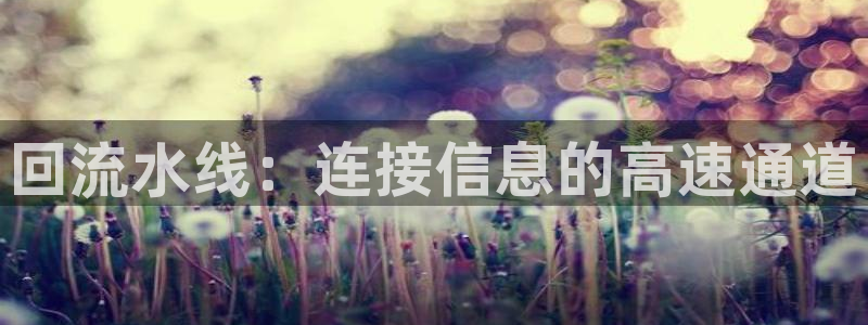 天辰娱乐728567