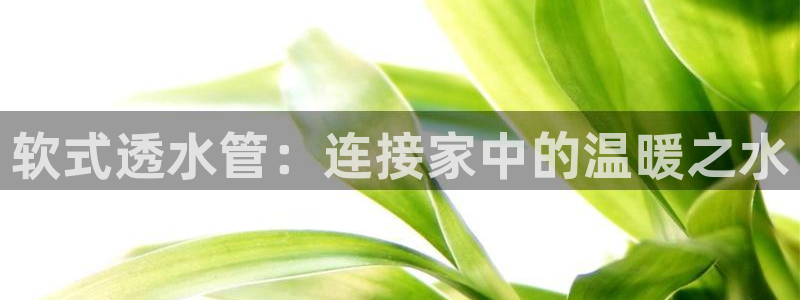 天辰娱乐文化