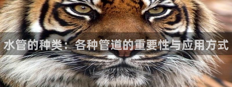 桂林天辰娱乐