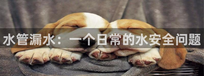 天辰娱乐指定