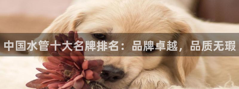 天辰娱乐所