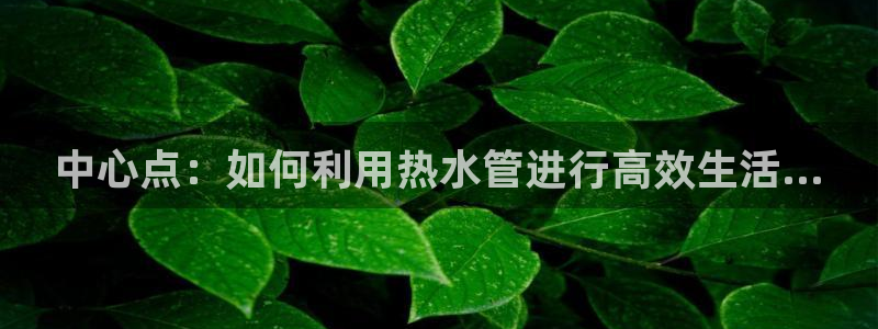 天辰娱乐软件