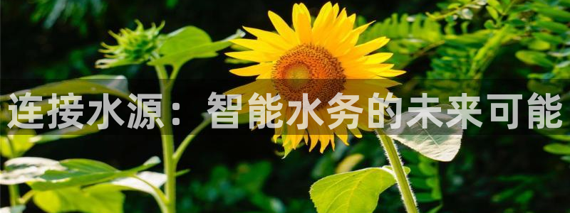 天辰娱乐黑人