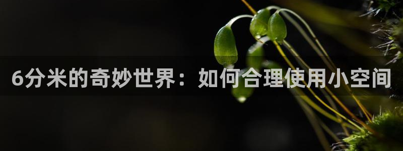 北京天辰娱乐