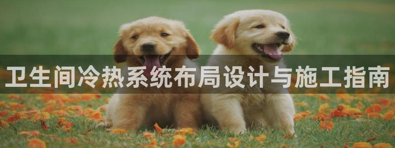 天辰娱乐输了