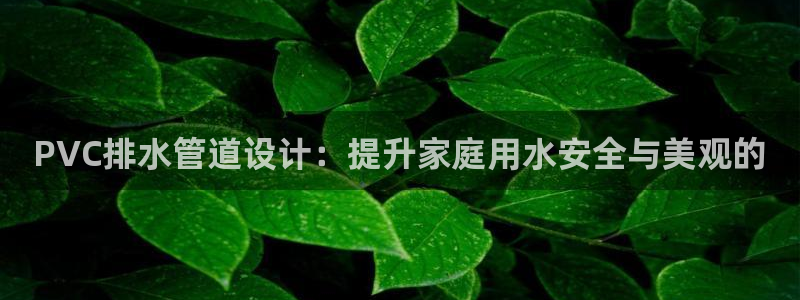 天辰平台娱乐