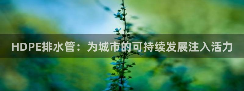 天辰娱乐登陆平台