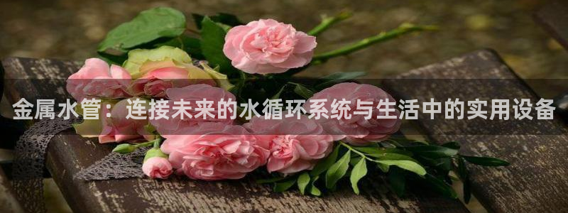 天辰娱乐文案